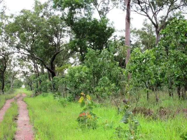 Second view of Homely rural property listing, LOT 6 Parkin Road, Fly Creek NT 822