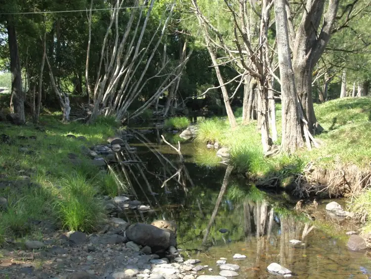 Seventh view of Homely rural property listing, 149 Crofton Road, Nimbin NSW 2480