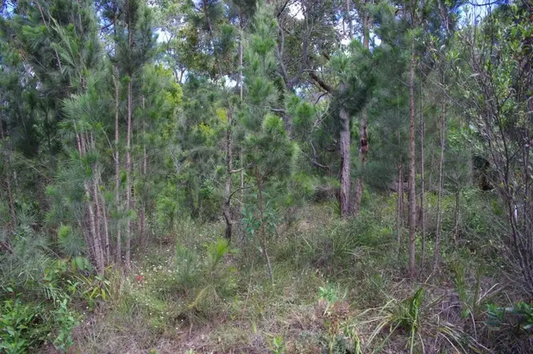 Main view of Homely land listing, 176 Wallaga Lake Road, Wallaga Lake NSW 2546