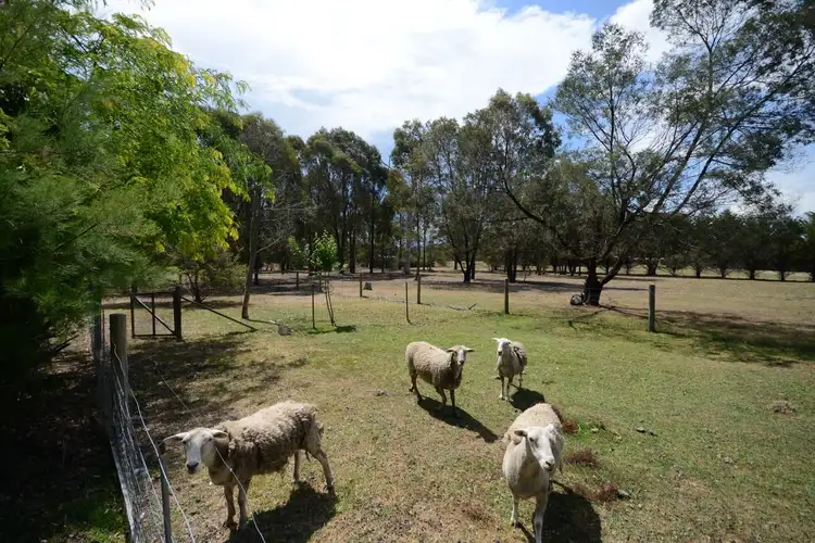 Third view of Homely house listing, 291 Duncan Road, Sarsfield VIC 3875