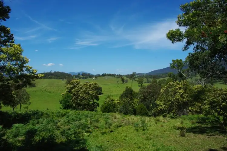 Fourth view of Homely rural property listing, LOT 1 County Boundary Road, Cobargo NSW 2550