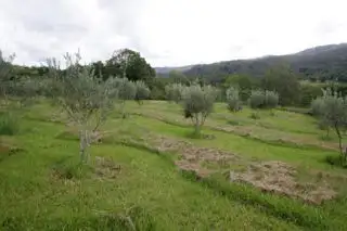 Third view of Homely rural property listing, 1073 Williams Road, Nimbin NSW 2480