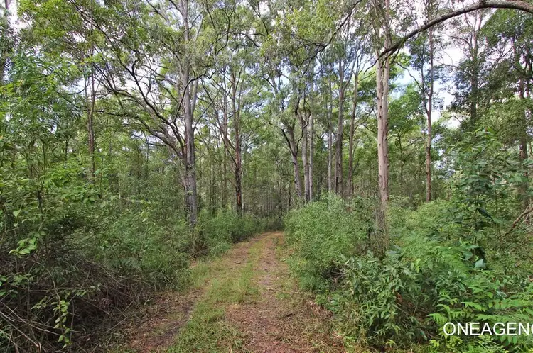 Fourth view of Homely rural property listing, 1439 Maria River Road, Crescent Head NSW 2440