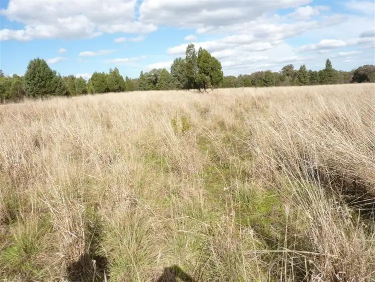 Second view of Homely rural property listing, Lot 22 Peak Hill Road, Dubbo NSW 2830