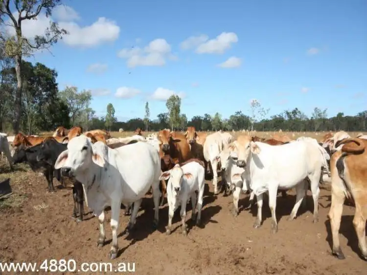 Third view of Homely rural property listing, Address available on request