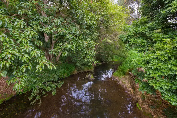 Fifth view of Homely rural property listing, 459 Upper Brookfield Road, Upper Brookfield QLD 4069