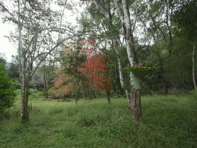 Fifth view of Homely rural property listing, 834 Terania Creek Road, The Channon NSW 2480