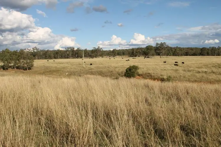 Sixth view of Homely rural property listing, 6293 Ulan Road, Mudgee NSW 2850