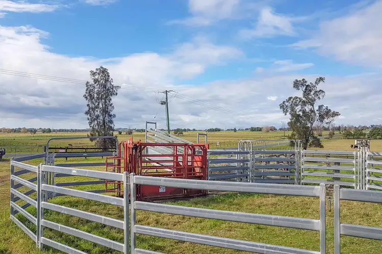 Seventh view of Homely rural property listing, LOT 84 Second Lane, Kempsey NSW 2440