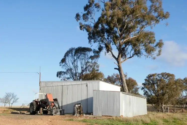 Seventh view of Homely rural property listing, 1665 Gollan Road, Mudgee NSW 2850