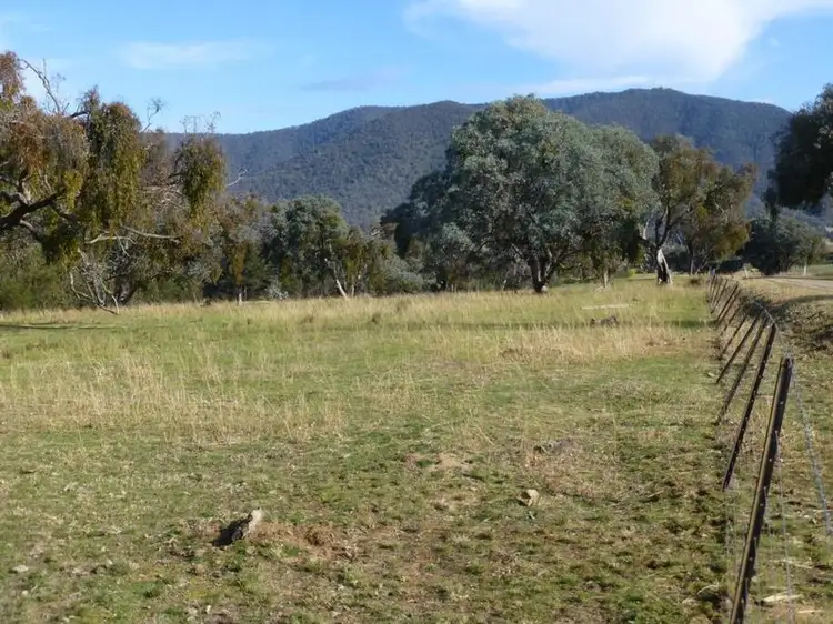 Third view of Homely rural property listing, 738 Bindi Road, Bindi VIC 3896