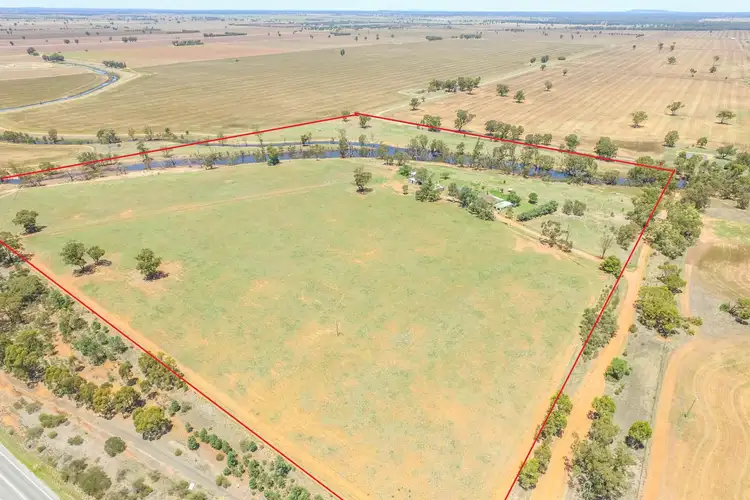 Second view of Homely house listing, 21 Pethers Road, Narrandera NSW 2700