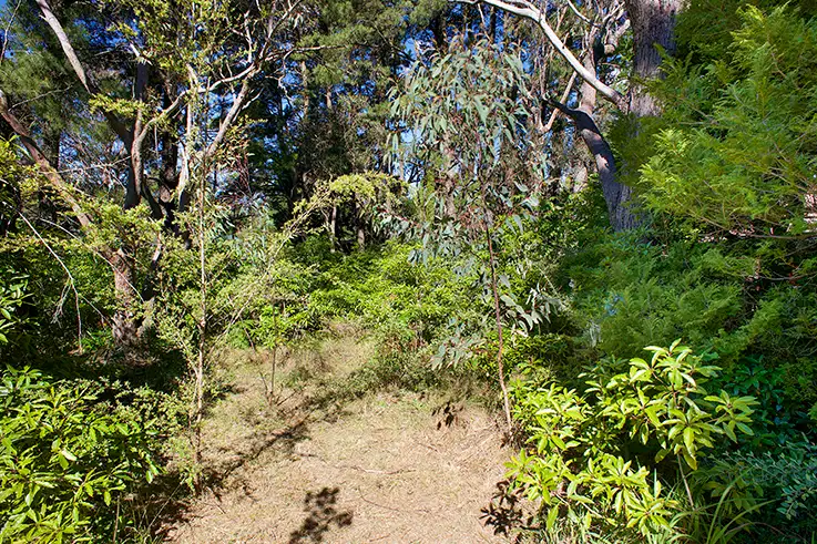 Fourth view of Homely land listing, 10 Cascade Street, Wentworth Falls NSW 2782