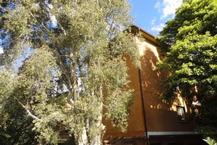 12/33 Livingstone Road