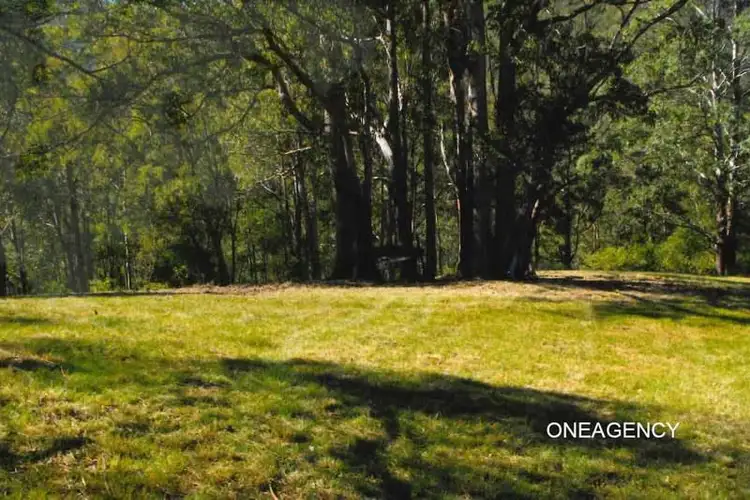 Third view of Homely rural property listing, 275 Petroi Road, Lower Creek NSW 2440