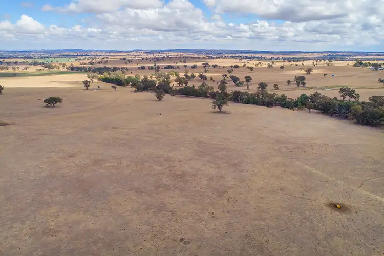 Fifth view of Homely rural property listing, 2610 Castlereagh Highway, Gulgong NSW 2852