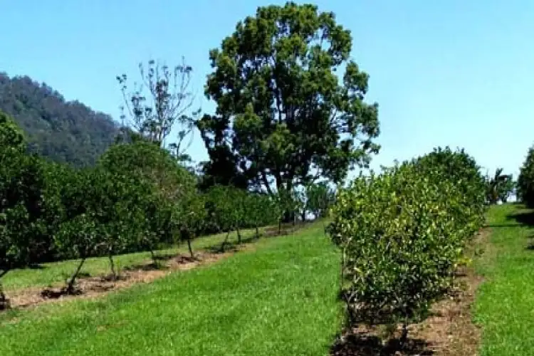 Seventh view of Homely house listing, 397 Gungas Road, Nimbin NSW 2480