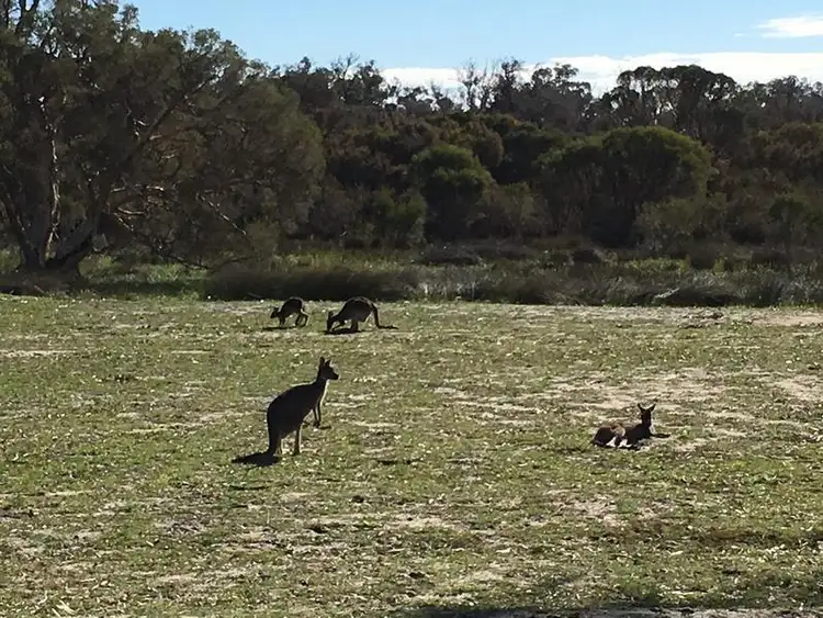Sixth view of Homely land listing, 4 Barrington Approach, Lakelands WA 6180