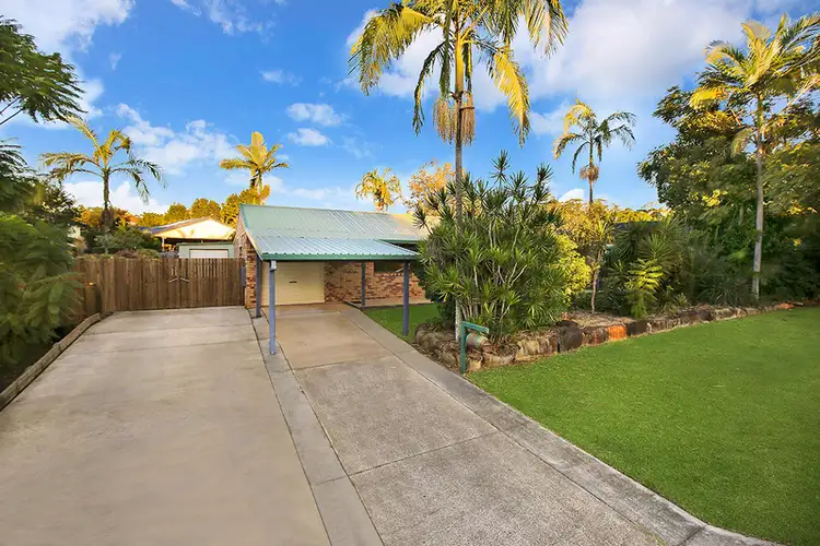 19 Rainbird Court, Palmwoods QLD 4555