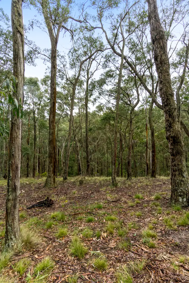 Fifth view of Homely land listing, 99 Dales Creek Avenue, Dales Creek VIC 3341