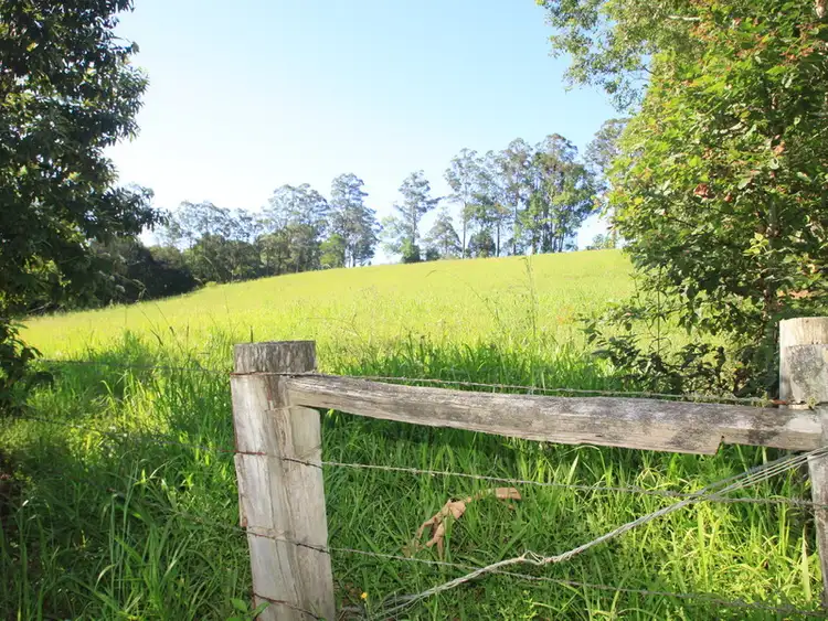 Seventh view of Homely rural property listing, 25 Kirkland Road, Nimbin NSW 2480