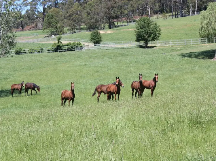 Third view of Homely rural property listing, 106 Greenhills Road, Moss Vale NSW 2577
