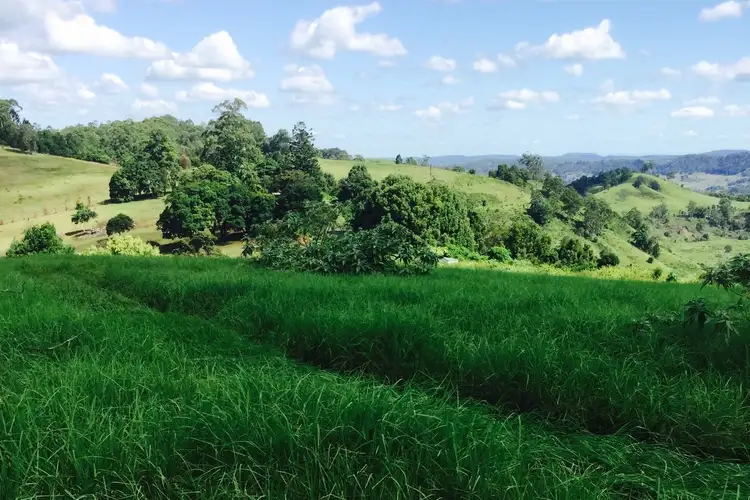 Sixth view of Homely rural property listing, 97 Cox's Road, Koonorigan NSW 2480