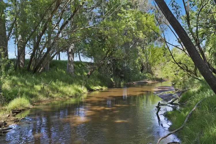 Fourth view of Homely house listing, 903 Yackandandah - Wodonga Road, Staghorn Flat VIC 3691