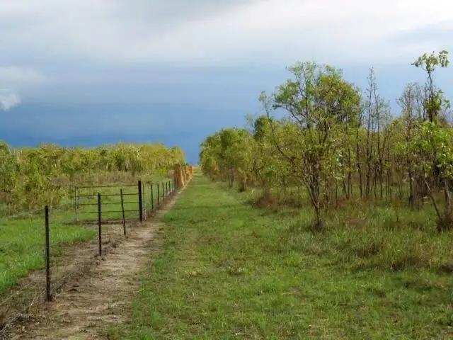 Seventh view of Homely rural property listing, Address available on request