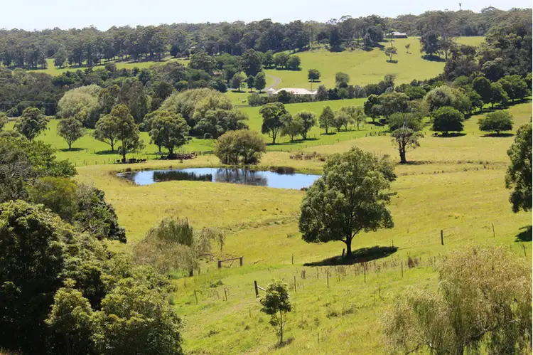 Main view of Homely rural property listing, 216 Princes Highway, Milton NSW 2538