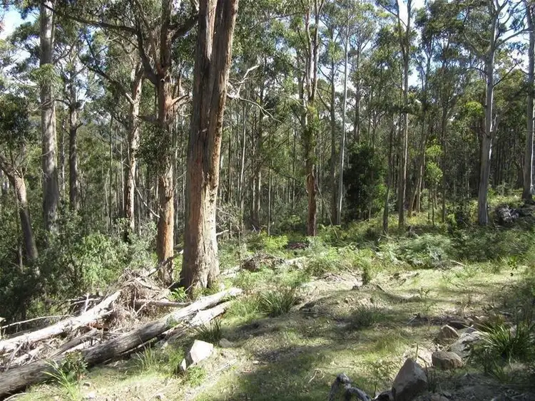 Fourth view of Homely land listing, LOT 2 Belchers Road, National Park TAS 7140