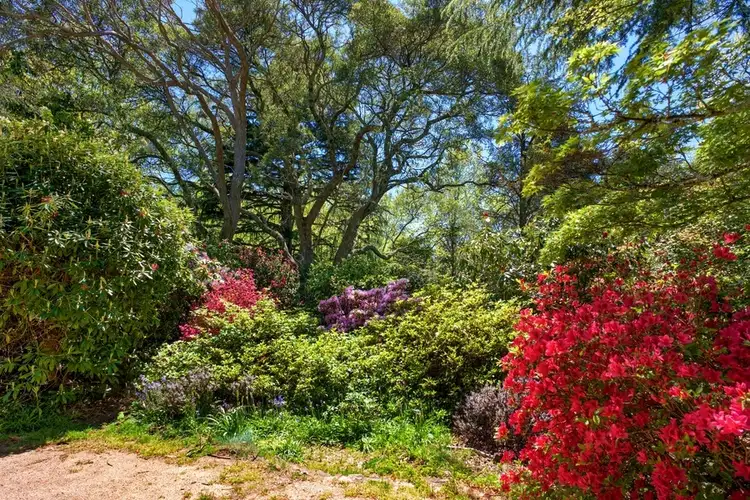 Second view of Homely land listing, LOT 77, 33 Morven Road, Leura NSW 2780