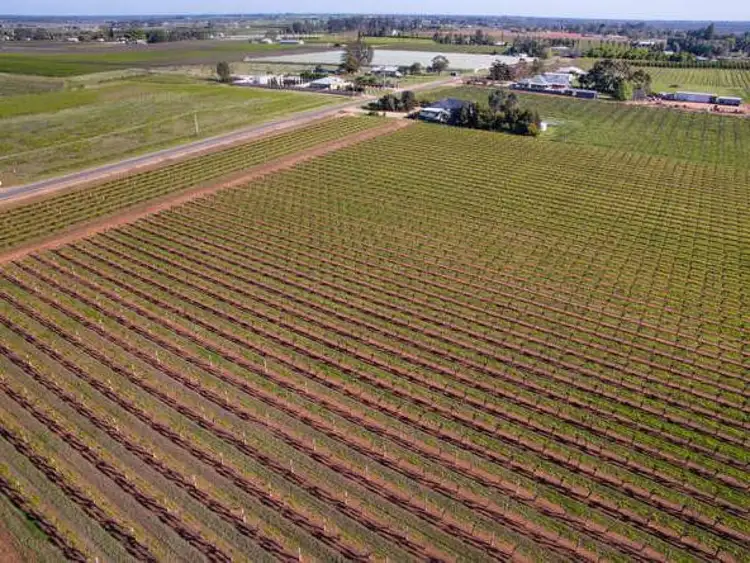 Fifth view of Homely rural property listing, 67 Quandong Avenue, Merbein VIC 3505