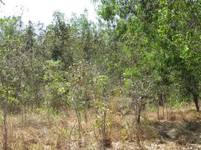 Sixth view of Homely land listing, 500 Peacock Road, Darwin River NT 841
