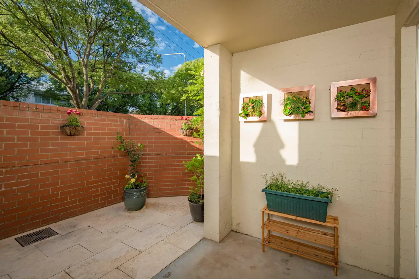 Main view of Homely apartment listing, 6/9 Howitt Street, Kingston ACT 2604