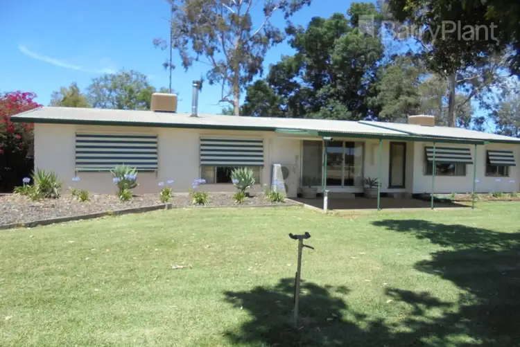 4336 Murray Valley Highway, Robinvale VIC 3549