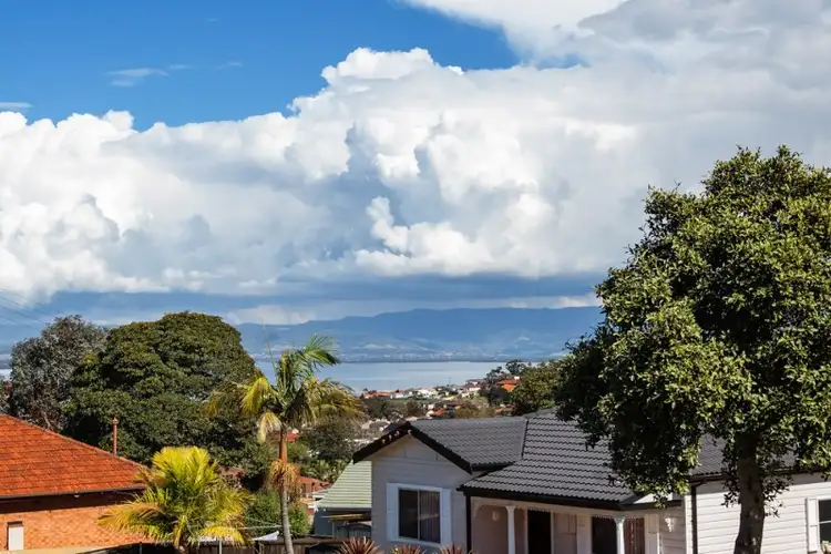 Fourth view of Homely house listing, 38 Third Avenue North, Warrawong NSW 2502