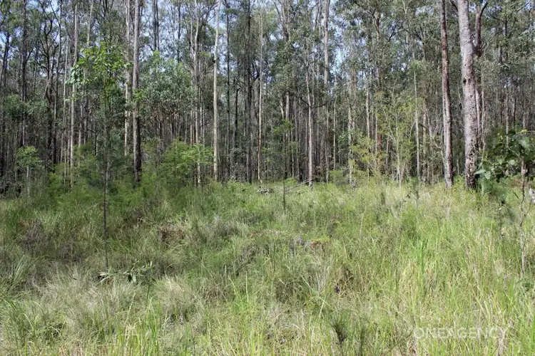 Sixth view of Homely rural property listing, LOT 9 Memory Lane, South Kempsey NSW 2440