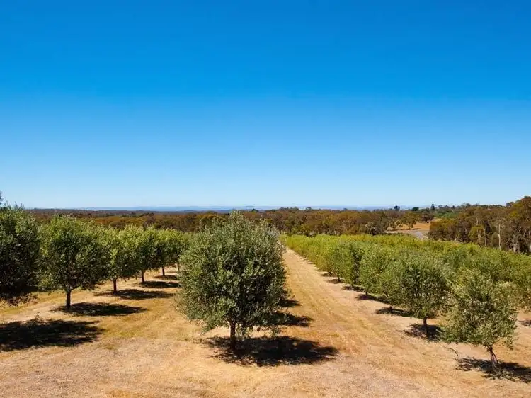 Lot 1, 126 Allans Road, Maldon VIC 3463