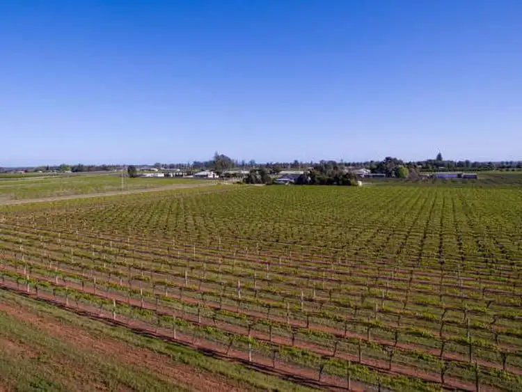 Third view of Homely rural property listing, 67 Quandong Avenue, Merbein VIC 3505