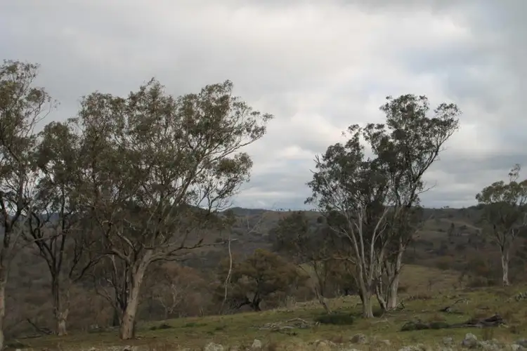 Third view of Homely rural property listing, 850 Hughes Road, Piambong NSW 2850