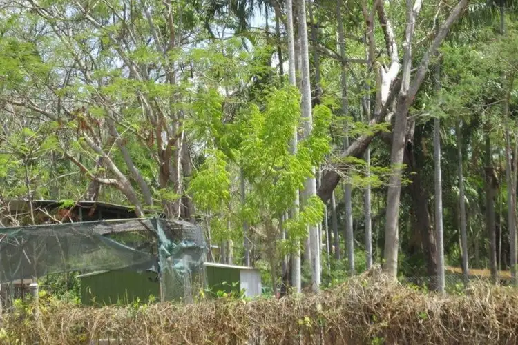 Sixth view of Homely rural property listing, lot 91 Mardango Crescent, Batchelor NT 845