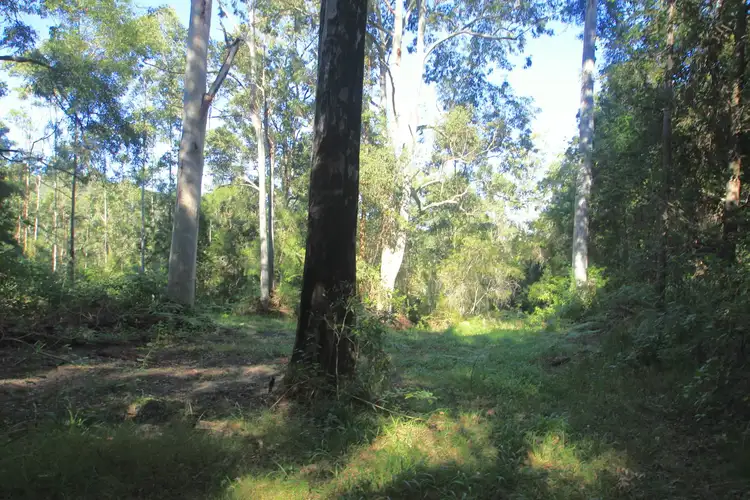 Sixth view of Homely rural property listing, 30/1157 Stony Chute Road, Nimbin NSW 2480