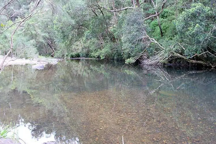 Sixth view of Homely rural property listing, Toorumbee Road, Moparrabah NSW 2440