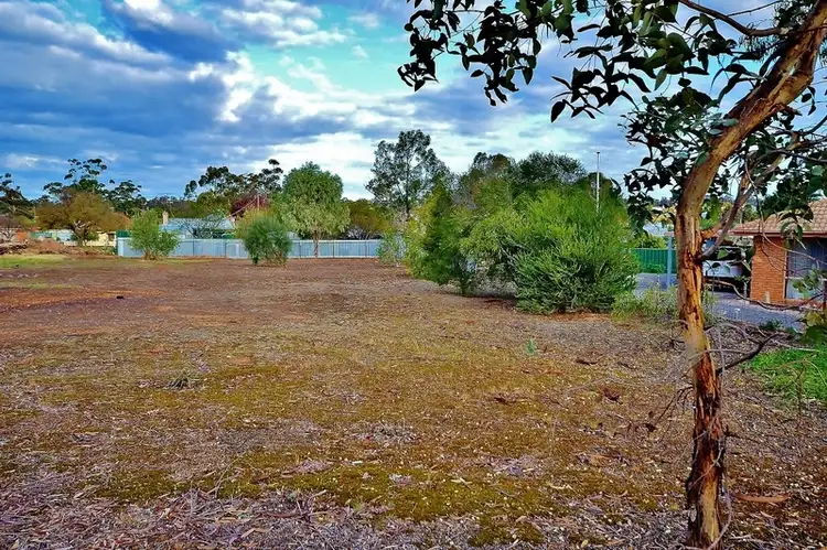 48 Orlando Street, Eaglehawk VIC 3556