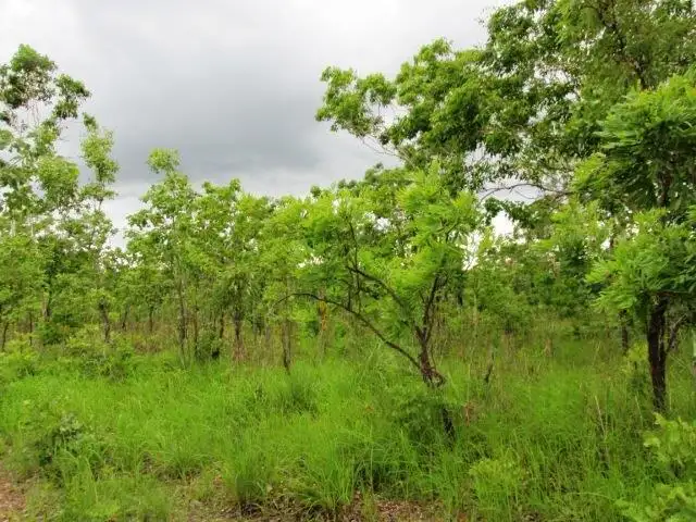 Seventh view of Homely land listing, 547 Parkin Road, Fly Creek NT 822
