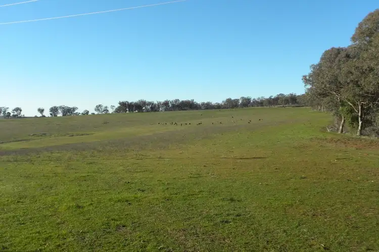 Main view of Homely land listing, 1058 Kingsvale Road, Young NSW 2594