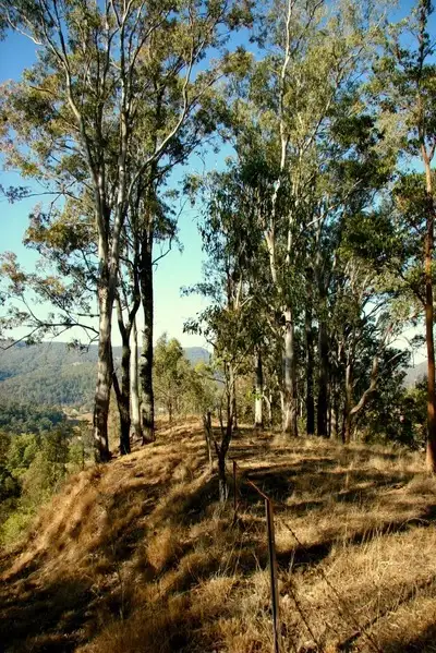 Sixth view of Homely rural property listing, 181 Lindsay Road, Larnook NSW 2480