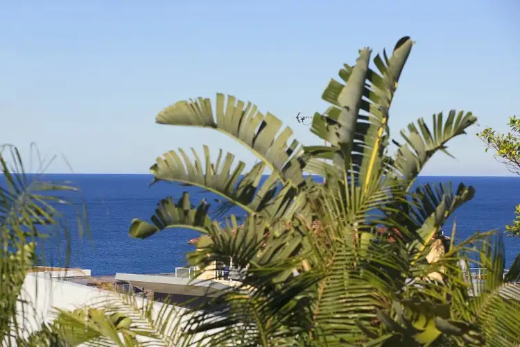 Fifth view of Homely apartment listing, 1/2 Dellview Street, Tamarama NSW 2026