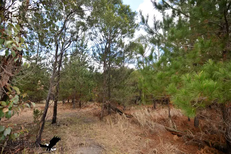 Fourth view of Homely rural property listing, LOT 207 Ironbark Road, Sugarloaf QLD 4380
